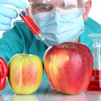 Что такое ГМО и почему они вредны?